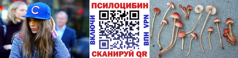 Галлюциногенные грибы прущие грибы  Вилюйск 